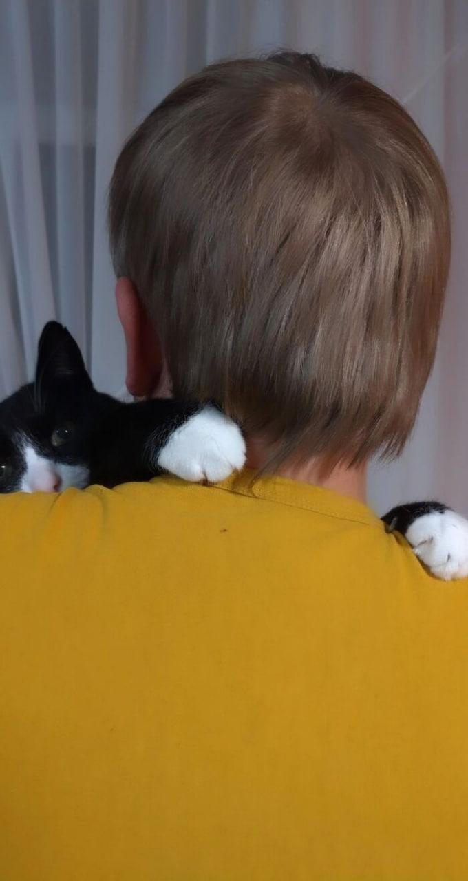 Фото Новосибирцы обняли кошек в честь праздника 4